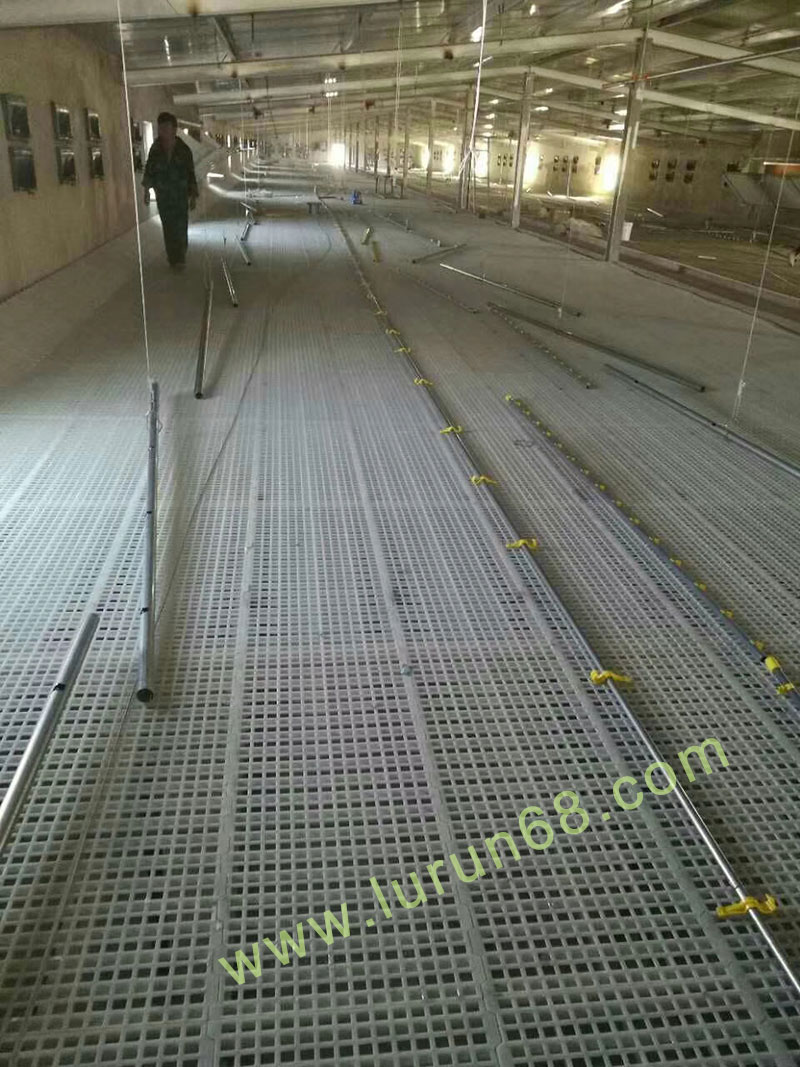 田東平養(yǎng)雞設(shè)備