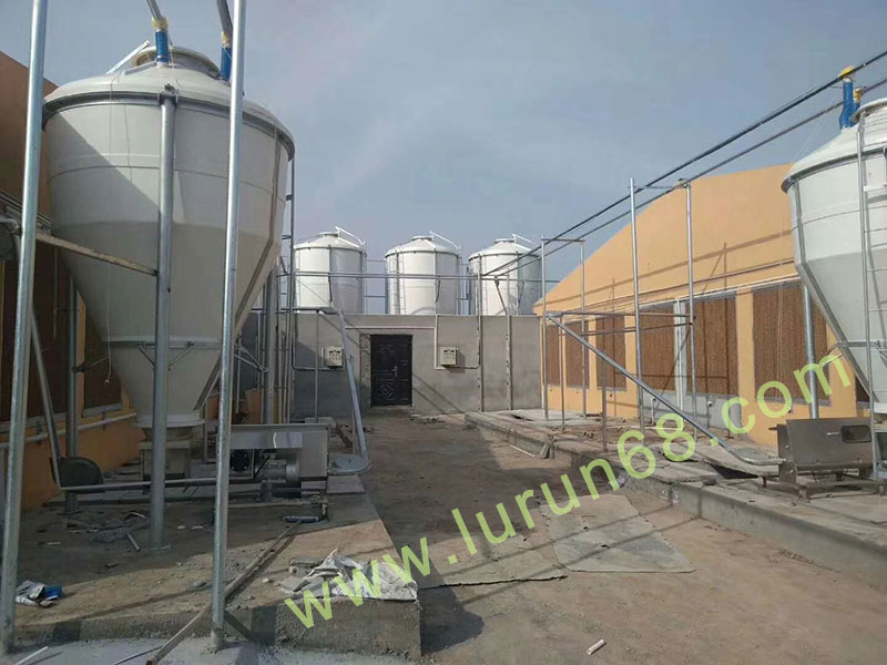 金陵集團自動上料下料設(shè)備