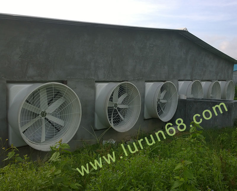 佰家雞場設(shè)備