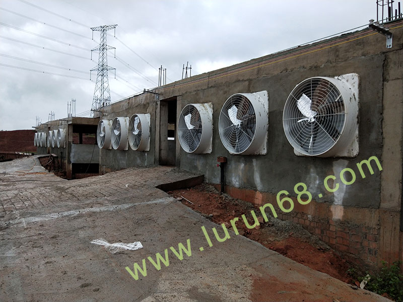 �i�O(sh��)��