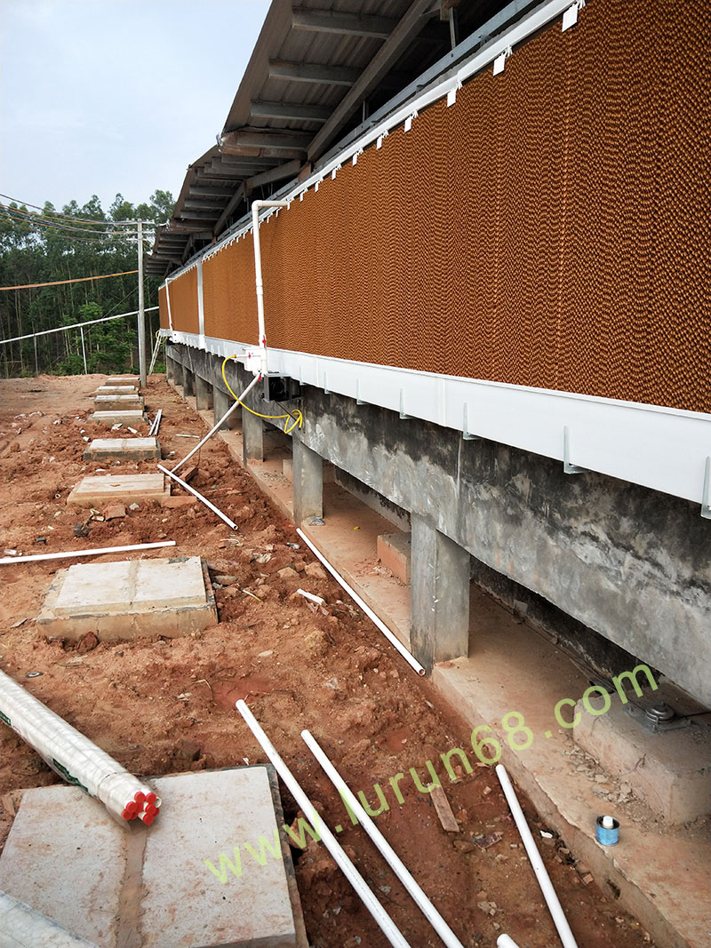 �i�O(sh��)��