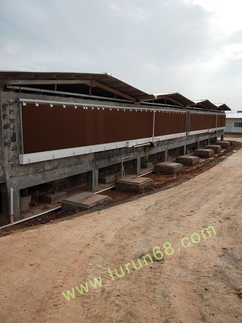 �i�O(sh��)��