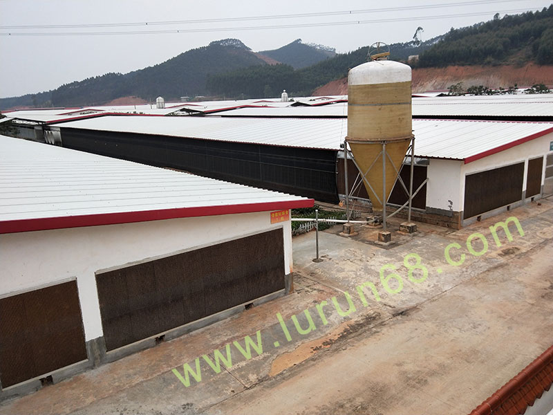 �i�O(sh��)��