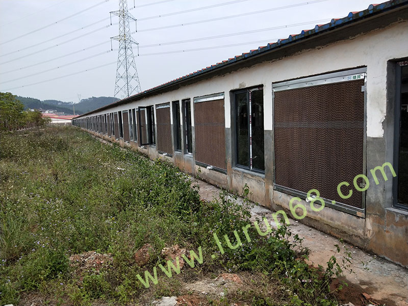 �i�O(sh��)��