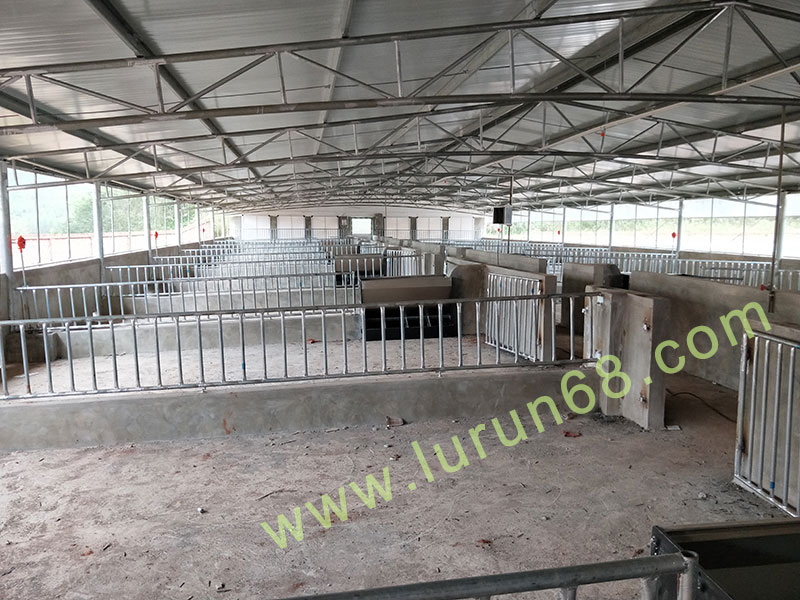 �i�O(sh��)��