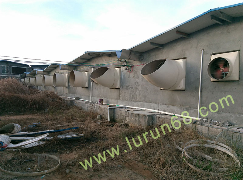 �i�O(sh��)��