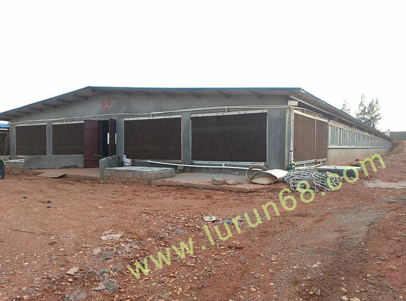 �i�O(sh��)��