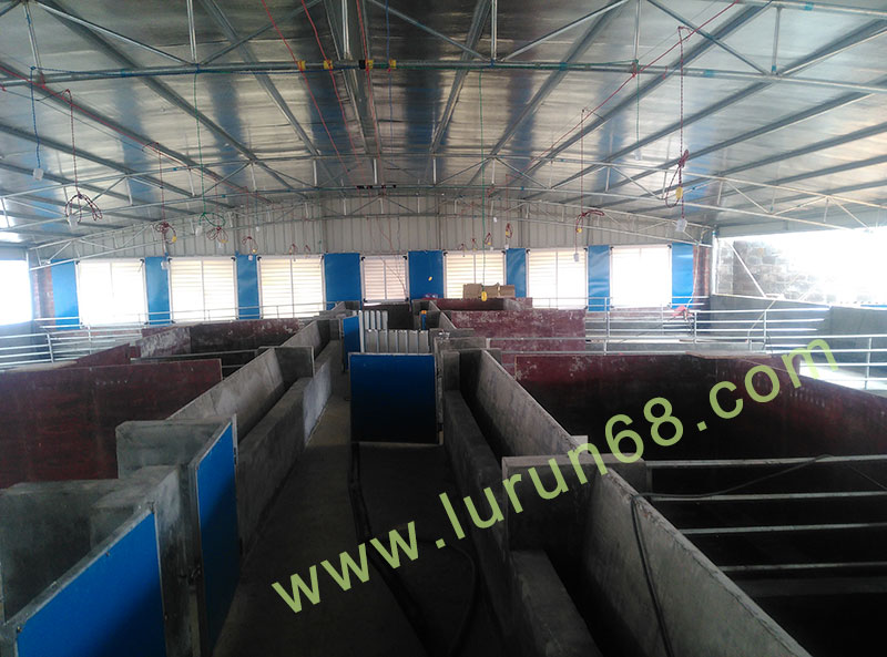 �i�O(sh��)��