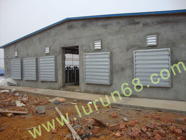 �i�O(sh��)��