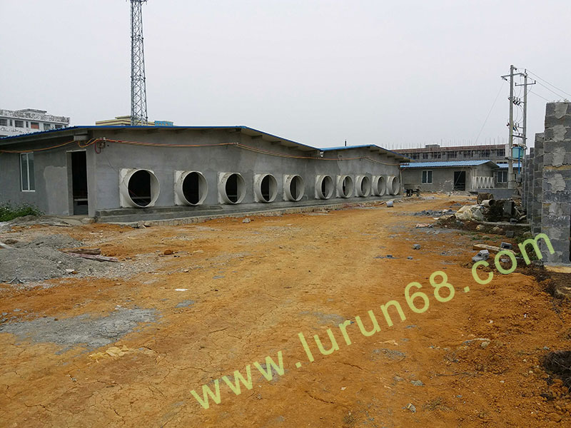 �i�O(sh��)��