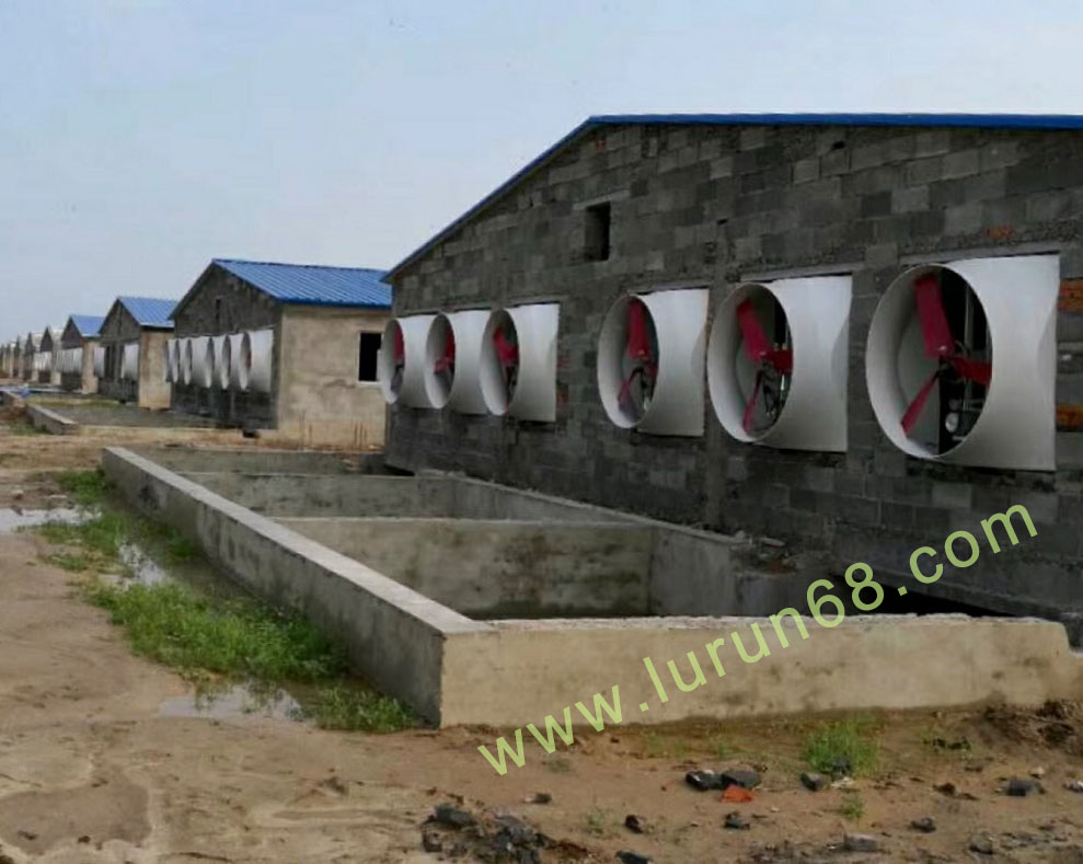 �i�O(sh��)��