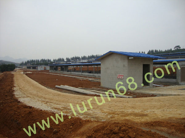 �i�O(sh��)��