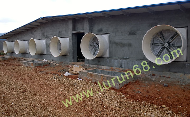 �i�O(sh��)��