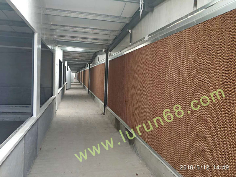 �i�O(sh��)��