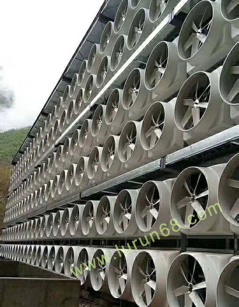 �i�O(sh��)��