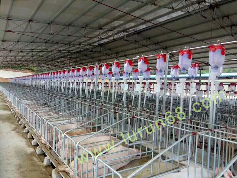 �i�O(sh��)��