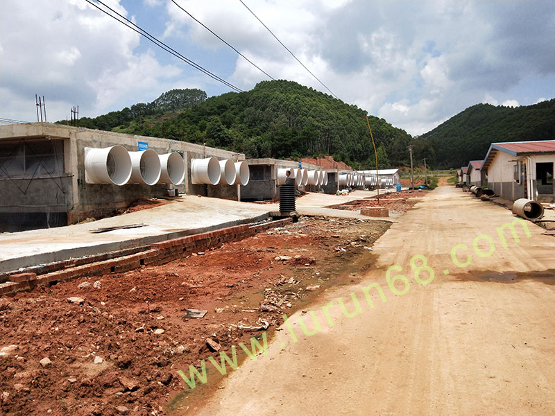 �i�O(sh��)��