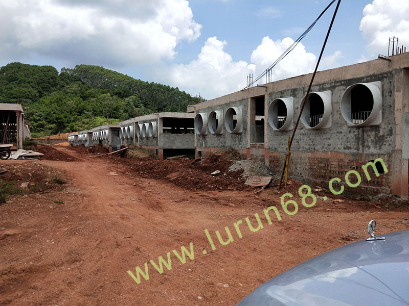 �i�O(sh��)��