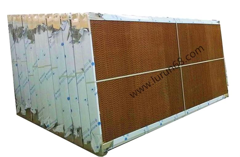 ���P�ˮ����