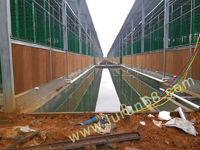 �����(l��i)���̰���