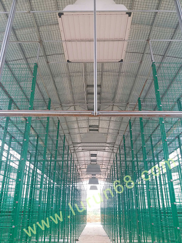 ������̰���