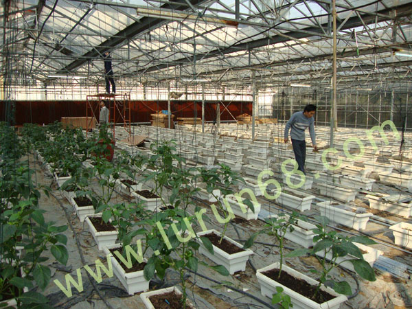 ������̰���