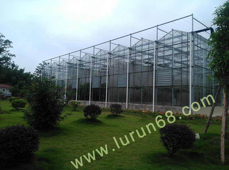 ������̰���