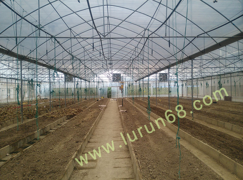 ������̰���