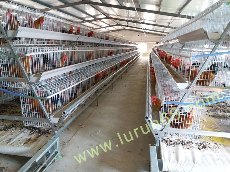 �u�O(sh��)�䰸��