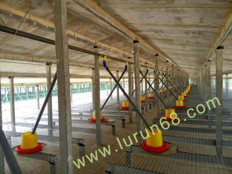 �u�O(sh��)�䰸��