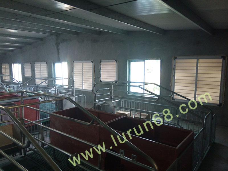 �i�O(sh��)�䰸��