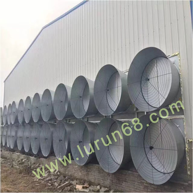 �i�O(sh��)�䰸��