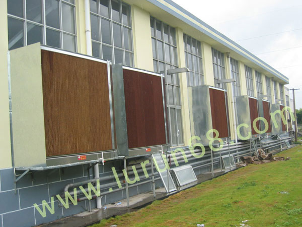 �쾰ɽ�z�I�S