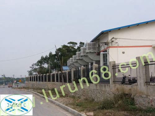 �S������܇�g