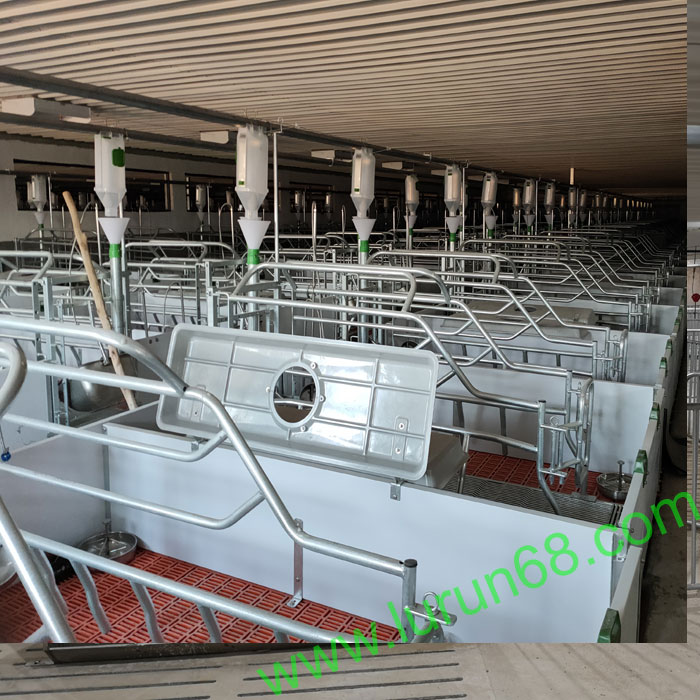 �Ԅ�(d��ng)ι�Ͼ�(xi��n)